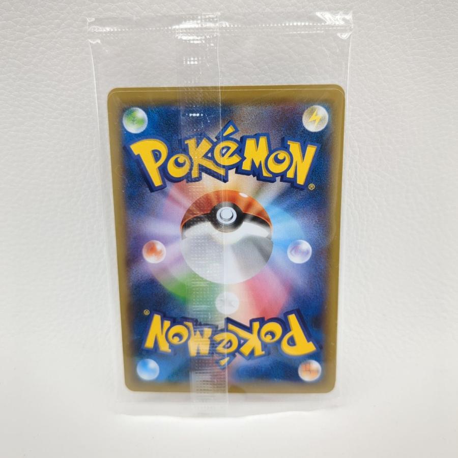 ポケモンカードゲーム ポケモン切手BOX 見返り美人・月に雁 ポケモンカードゲーム ポケモン切手BOX 見返り美人・月に雁