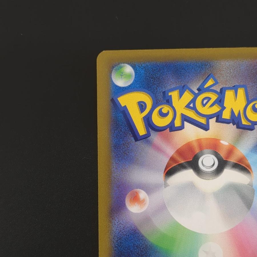ポケモンカードゲーム リザードンex SV3 134/108 SAR ポケカ 黒 ポケモンカードゲーム リザードンex SV3 134/108 SAR ポケカ 黒