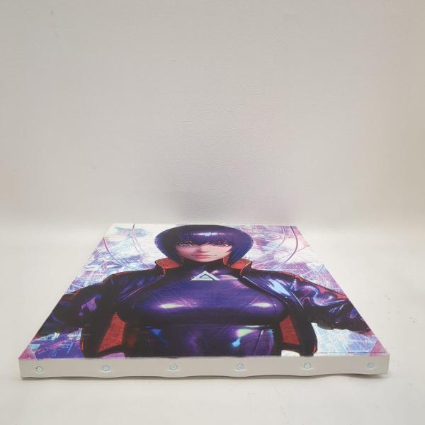 攻殻機動隊 草薙素子 キャンバスアート 攻殻機動隊 キャンバスアート 草薙素子 F6 中古 ◇2015 : ピックアップ