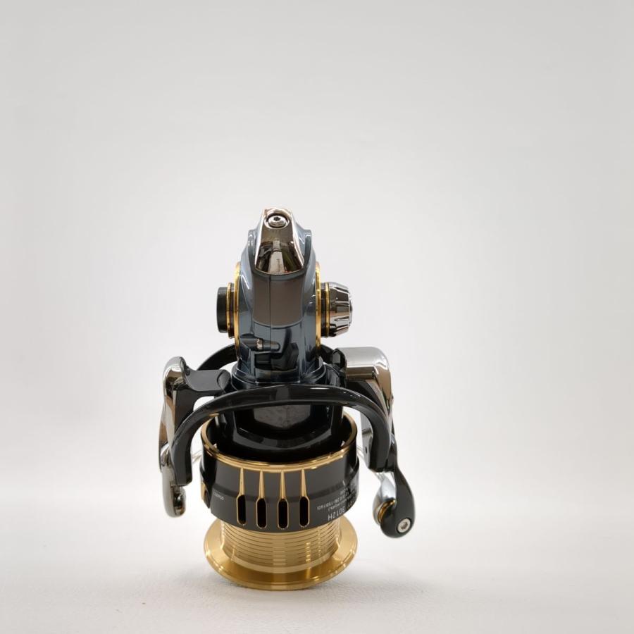 DAIWA(釣り) DAIWA ダイワ スピニングリール 17セオリー 3012H DAIWA(釣り) DAIWA ダイワ スピニングリール 17セオリー 3012H