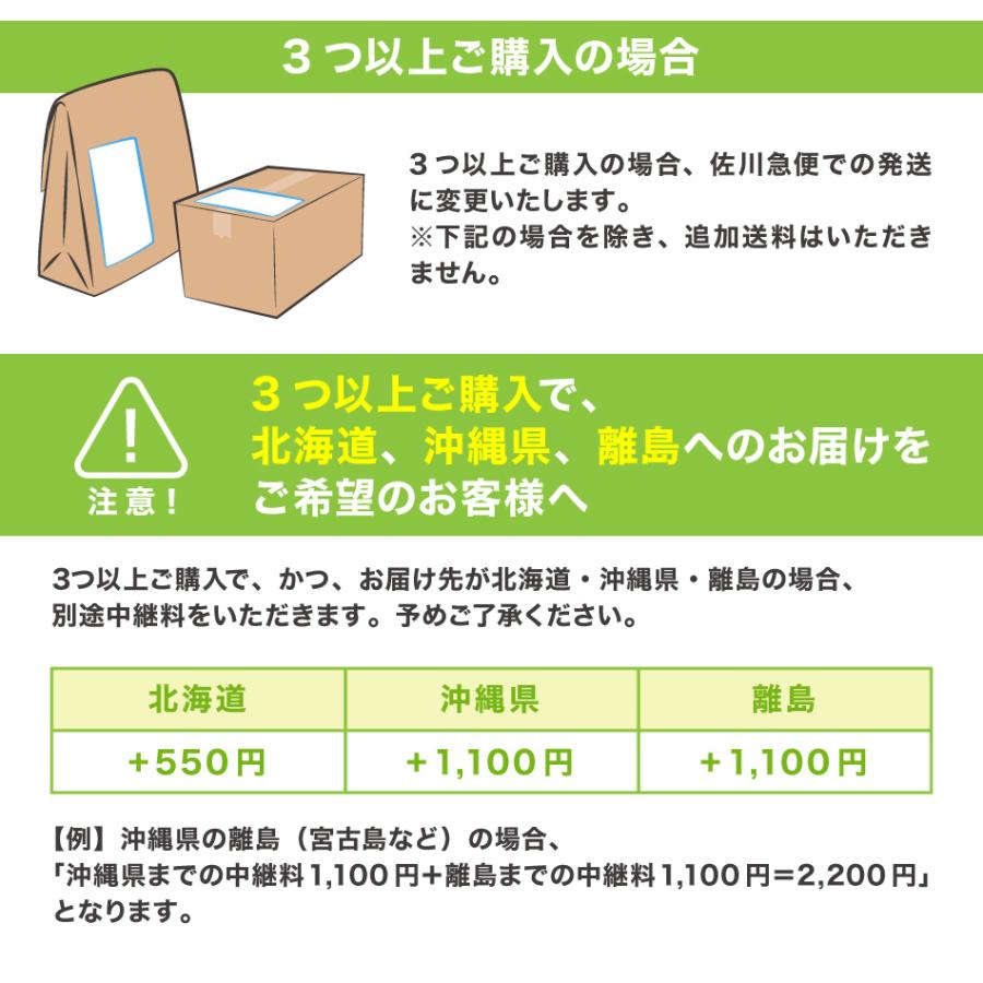 カラーマスク 小さめサイズ 付与 165mm 145mm 女性 子供 元祖 テレビで 