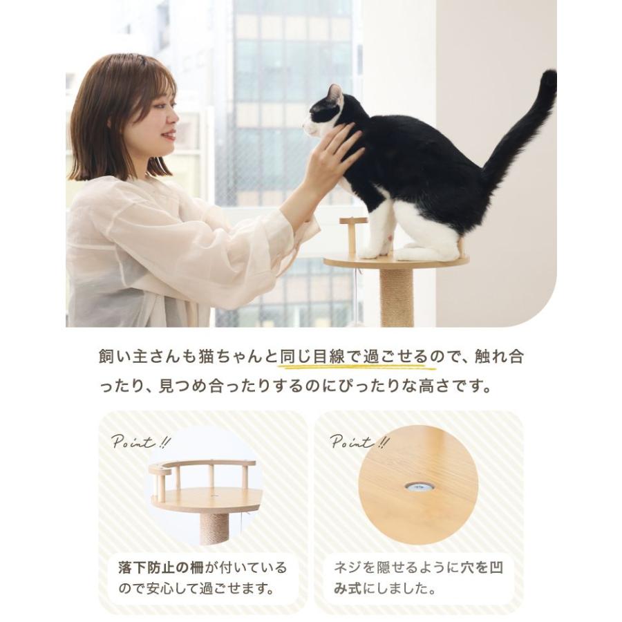 キャットタワー 木製 宇宙船カプセル 大型猫 据え置き型 多頭