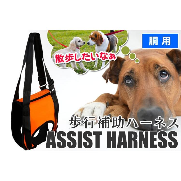 犬用 ハーネス 介護 歩行補助 中型犬 ベストタイプ 持ち手長さ調節可能 介護ペット用品 老犬介護用 介護用ハーネス 犬用 Dh01sor Pickupplazashop 通販 Yahoo ショッピング