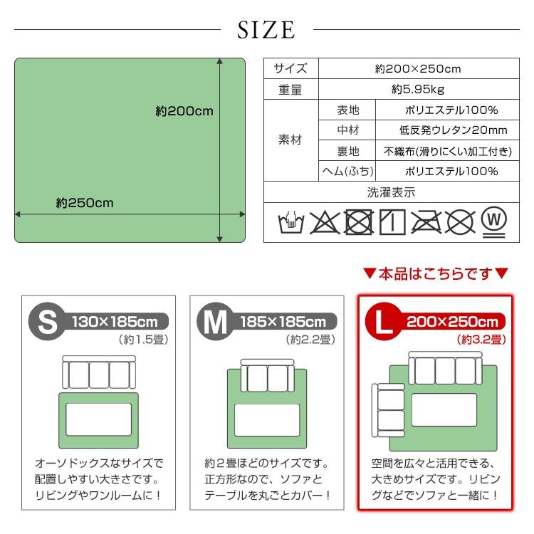 ラグ 厚手 リビング カーペット ラグマット 3 5畳 0x250cm 極厚25mm 低反発ウレタン 厚手 おしゃれ 床暖房対応 洗える 絨毯 抗菌 防ダニ Fcb009 Pickupplazashop 通販 Yahoo ショッピング