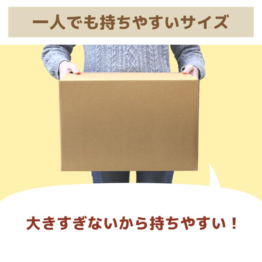 リサイクルダンボール90cm　詰め込み梱包済み 80サイズ】現場のチカラ エコノミータイプ 軽梱包用ダンボール