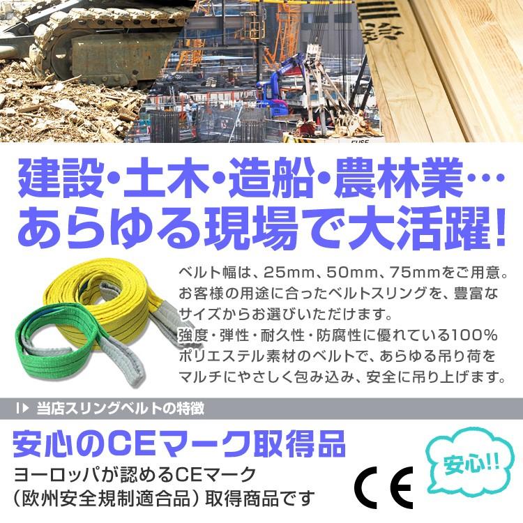 スリングベルト 4m 2本セット ナイロンスリング 耐荷800kg 25mm×4m ベルトスリング 運搬用スリング 吊具｜pickupplazashop｜03