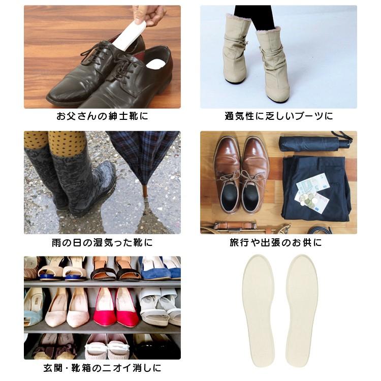 靴 脱臭 インソール シューズドライプレート 珪藻土 消臭 乾燥 除湿 脱臭 カビ対策 Uaa001 Pickupplazashop 通販 Yahoo ショッピング