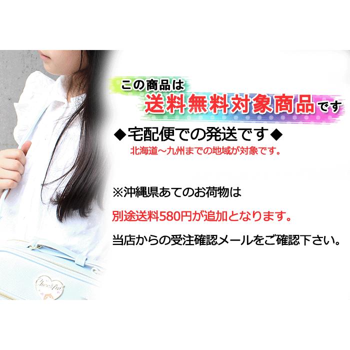 Lee（リー） トラベルボストン 学生 ロゴ チャーム ポリ メッシュ