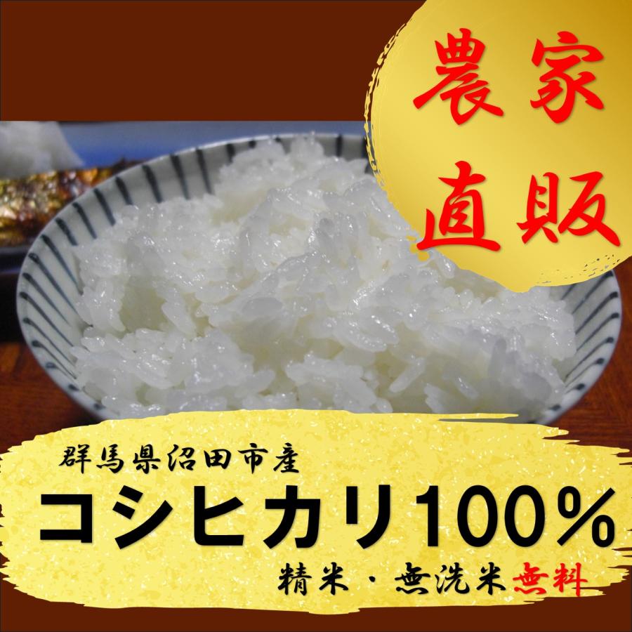 お米 コメ 25kg 令和3年産(2021年産)コシヒカリ100% 群馬県産 安い 農家直送 玄米白米無洗米 : paqdx1mq96 :  ピコファーム ほしいもヤフー店 - 通販 - Yahoo!ショッピング