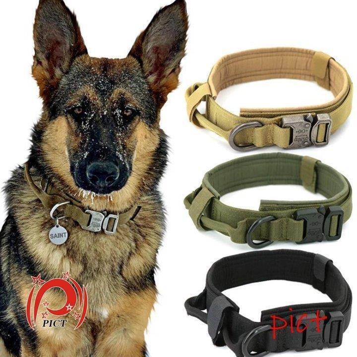 犬 首輪 犬首輪 無地 おしゃれ 犬の首輪 かわいい 迷子札 中型犬 大型犬 いぬ くびわ 軽い 柴犬 Dd0329 Ol76 Pict 通販 Yahoo ショッピング