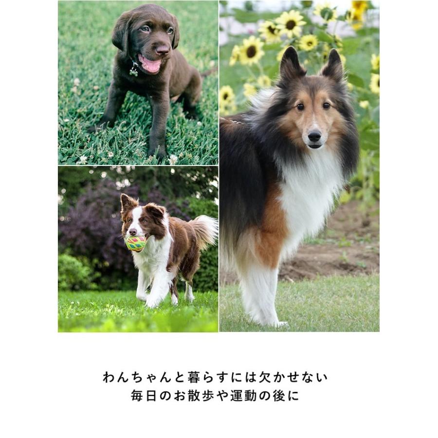 犬用足洗いカップ Pidan ピダン 犬 足洗い グッズ 足洗いカップ 散歩 足 散歩グッズ 犬用 ペット 017 Pidan Yahoo 店 通販 Yahoo ショッピング