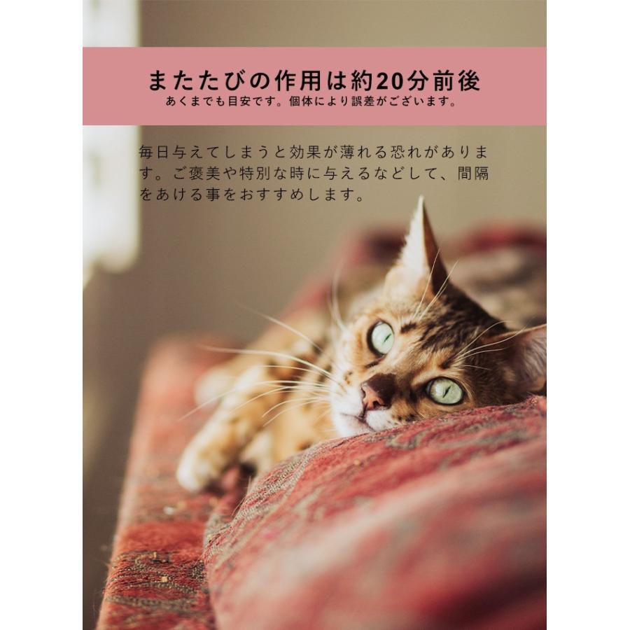 またたび おもちゃ B Pidan ピダン 猫 おもちゃ またたび またたびの木 またたびトイ マタタビ おしゃれ ネコ 猫用 Pidan Yahoo 店 通販 Yahoo ショッピング