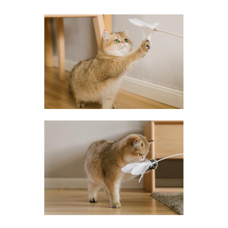 7日間無料返品保証 猫じゃらし ハンドルタイプ 交換用 3種入 セット Pidan ピダン 猫 おもちゃ 羽 猫じゃらし ねこじゃらし おしゃれ ネコ 猫用 Pidan Yahoo 店 通販 Yahoo ショッピング