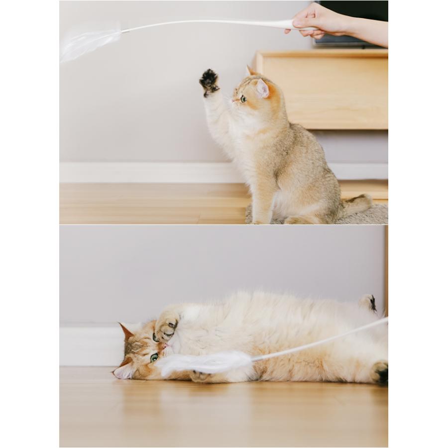 7日間無料返品保証 猫じゃらし ハンドルタイプ 交換用 3種入 セット Pidan ピダン 猫 おもちゃ 羽 猫じゃらし ねこじゃらし おしゃれ ネコ 猫用 Pidan Yahoo 店 通販 Yahoo ショッピング