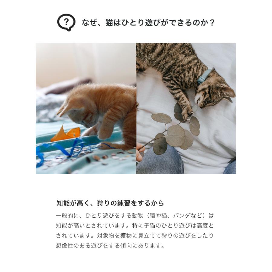 猫用おもちゃ 羽付きゴムボール 3個セット Pidan ピダン 猫 ねこ ネコ おもちゃ オモチャ 玩具 一人遊び ひとり遊び 羽根 羽 ボール 猫じゃらし ストレス 解消 Pidan Yahoo 店 通販 Yahoo ショッピング