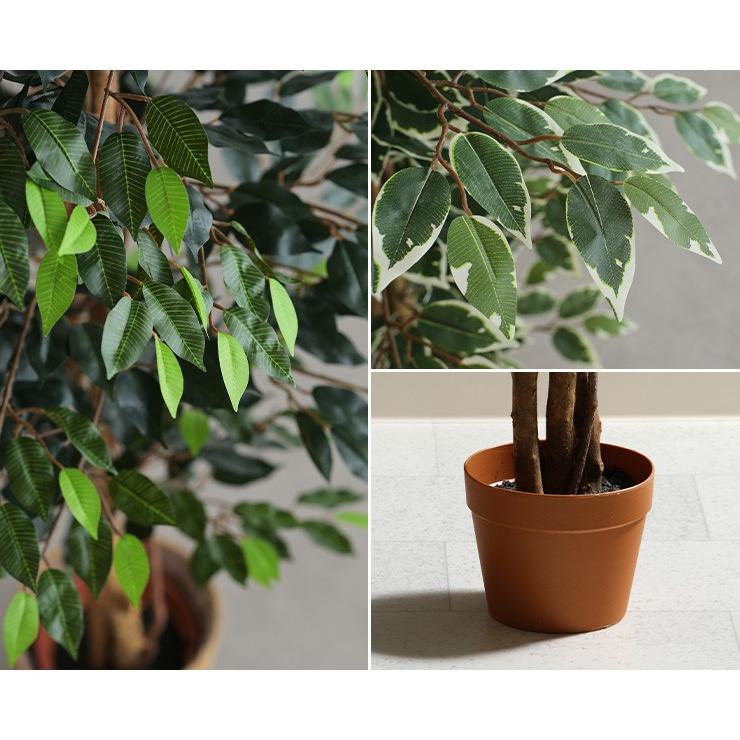 絶妙 人工観葉植物 フェイクグリーン Ficuse フィカス 1124 H170cm 2種対応 人工植物 観葉植物 おしゃれ フェイク 造花 大型 グリーン インテ 新着商品 Carlavista Com