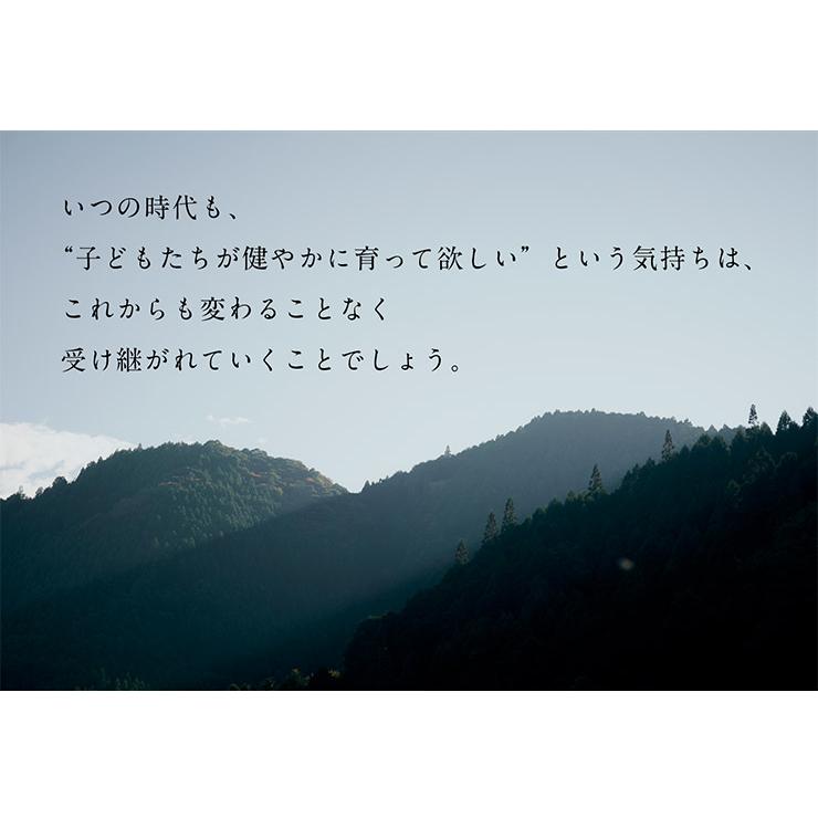 日本製 鯉のぼり こいのぼり 室内用 置物 木製 おしゃれ 五月人形 吊るしタイプ こどもの日 初節句 男の子 端午の節句 無垢材 コンパクト ハンドメイド 手作り | ブランド登録なし | 17