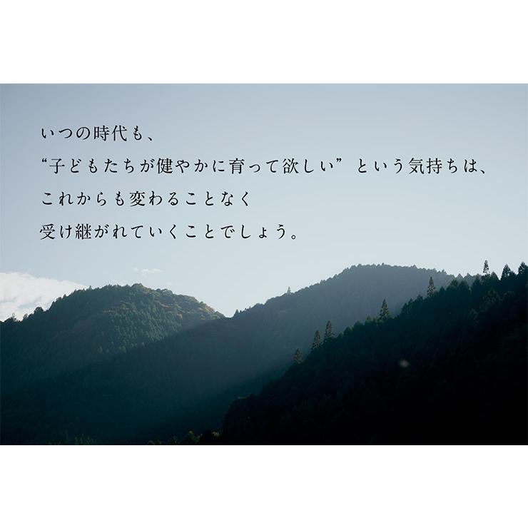 日本製 鯉のぼり こいのぼり 室内用 置物 木製 名入れ無料 名前札付き 五月人形 吊るしタイプ こどもの日 初節句 男の子 端午の節句 無垢材 コンパクト | ブランド登録なし | 19