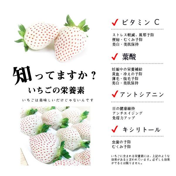 85 以上節約 産地直送完熟いちご 白いちご 贈答用 総量約400g 12粒 18粒 Luckyoldcar Com