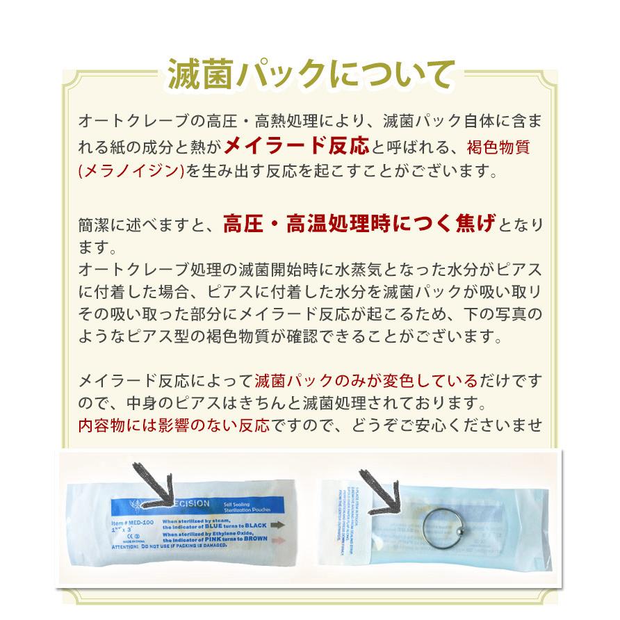1注文で何商品でも100円 ボディピアス オートクレーブ滅菌パック 
