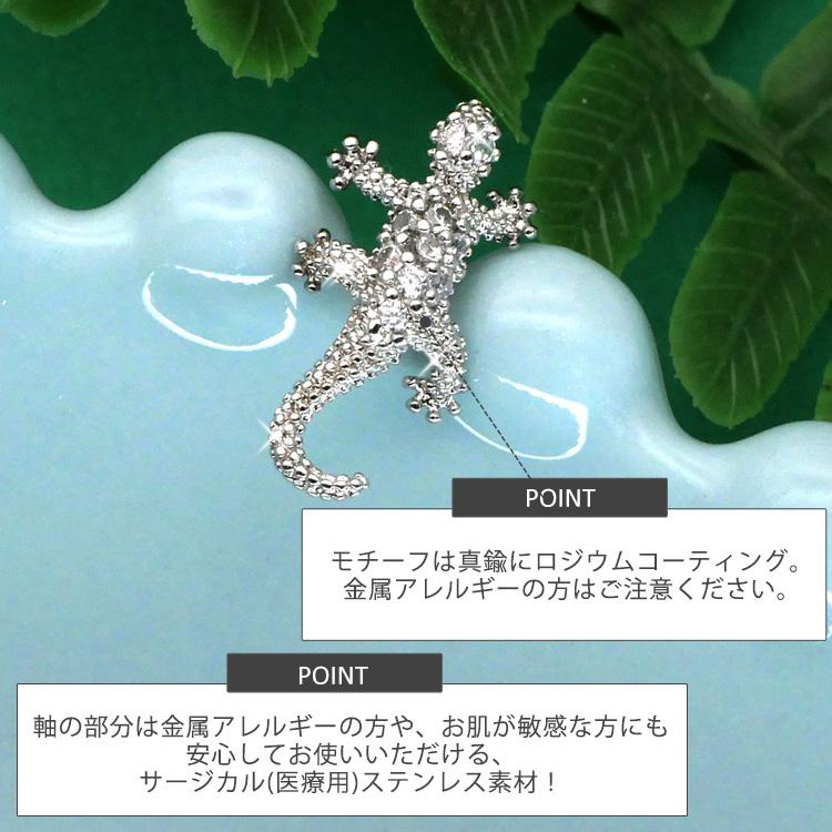 ★在庫処分価格★ストレート 25kg フィックスドバーベル 25mmストレート パンツベルト（01-32YI02-204）｜K.T キヨコ タカセ