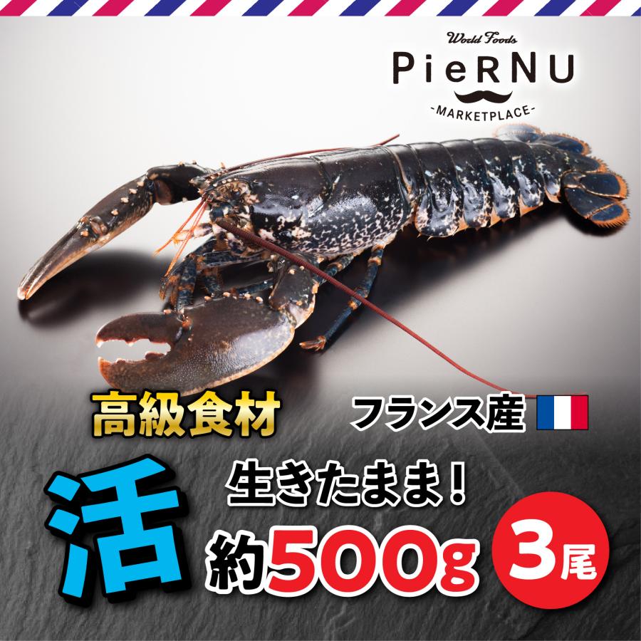 活オマール海老・ブルー（フランス産） 3尾(約500g×3） :001rob-b-fra-3:piernu - 通販 - Yahoo!ショッピング