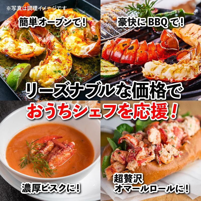 活オマール海老（カナダ産）　4尾(約620g×4）_2