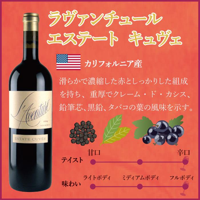 ピーロート・ジャパン ラヴァンチュール コートアコート 2009年 赤ワイン 