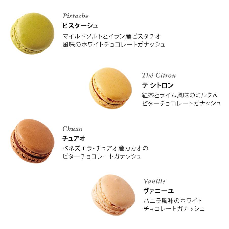 ピエール・マルコリーニ（PIERRE MARCOLINI） ピエール マルコリーニ