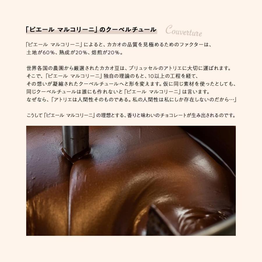 ピエール・マルコリーニ（PIERRE MARCOLINI） ピエール マルコリーニ