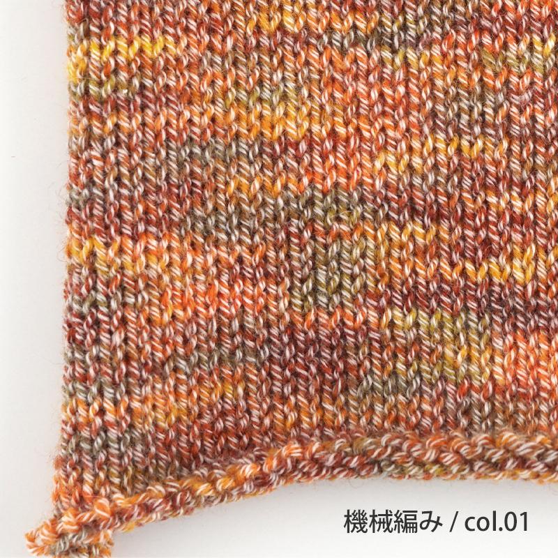 毛糸 【867】 カメレオンカメラ 2 サマー ソックヤーン 1玉 輸入糸