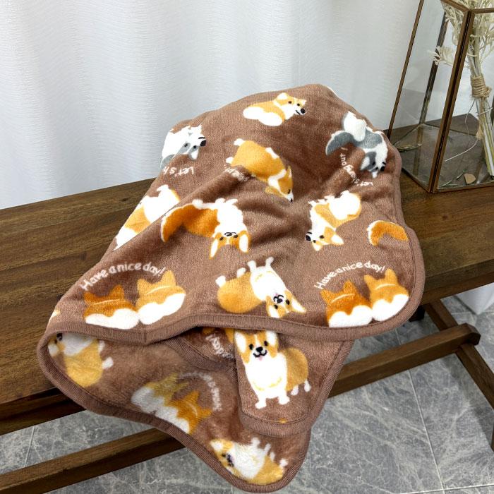 ブランケット ひざ掛け 赤ちゃん ベビー 70×100 毛布 ミニ毛布