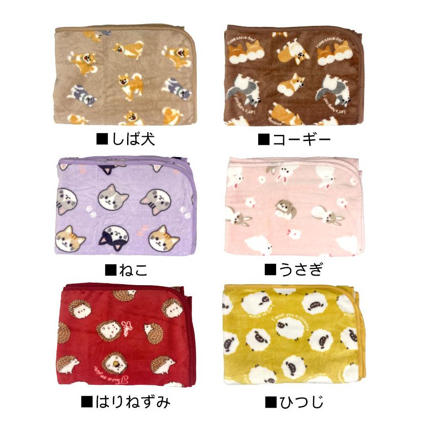 ブランケット ひざ掛け 赤ちゃん ベビー 70×100 毛布 ミニ毛布