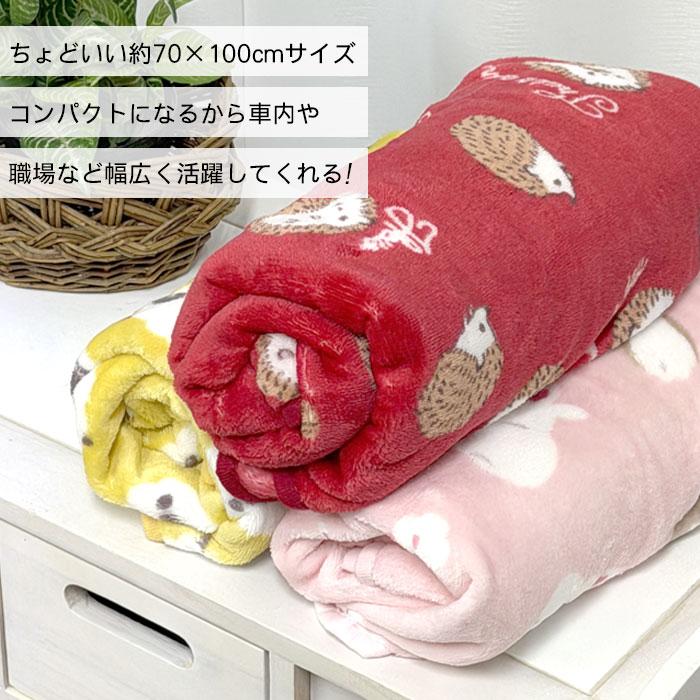 ブランケット ひざ掛け 赤ちゃん ベビー 70×100 毛布 ミニ毛布