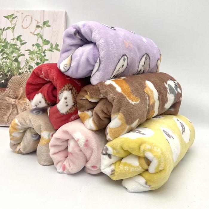 ブランケット ひざ掛け 赤ちゃん ベビー 70×100 毛布 ミニ毛布