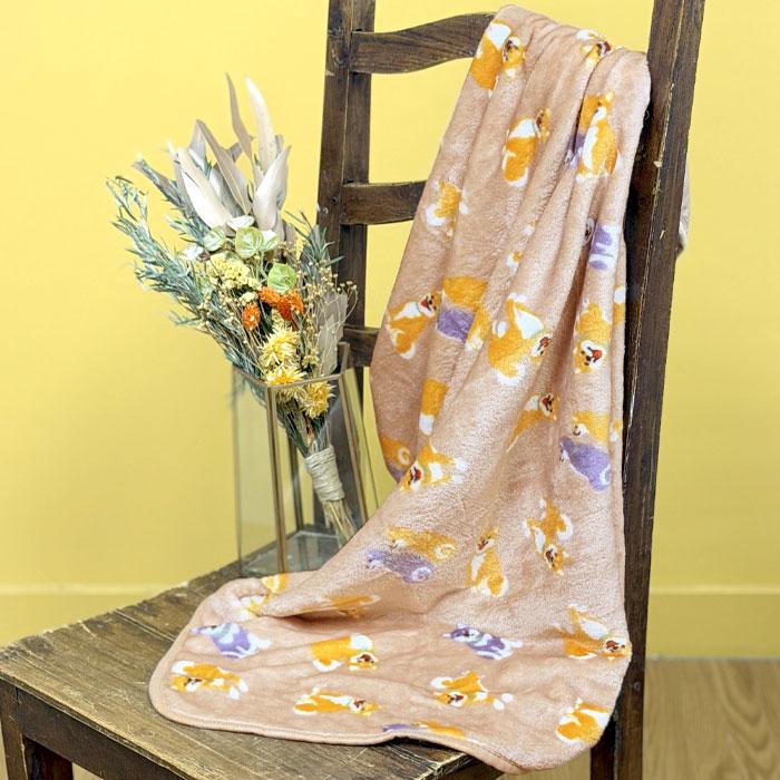 ブランケット ひざ掛け 赤ちゃん ベビー 70×100 毛布 ミニ毛布