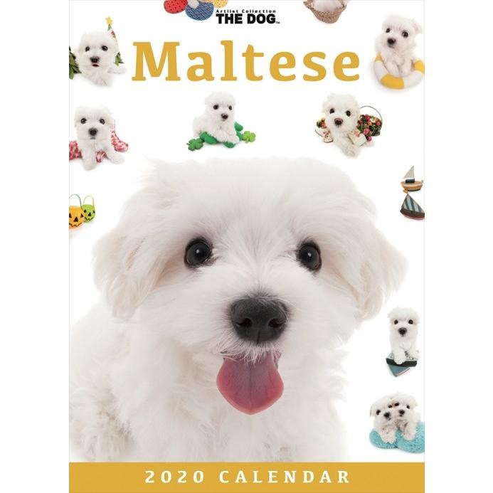 卓上 The Dog カレンダー マルチーズ 年カレンダー cl 1168 cl 1168 ピジョン 通販 Yahoo ショッピング