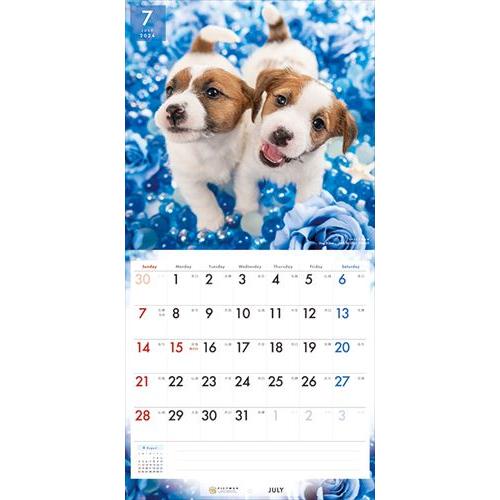 【おまけCL付】ジャック・ラッセル・テリア PICTWAN (ピクトワン) カレンダー DOG 【L版】 2024年カレンダー 24CL-50013L｜pigeon-cd｜11