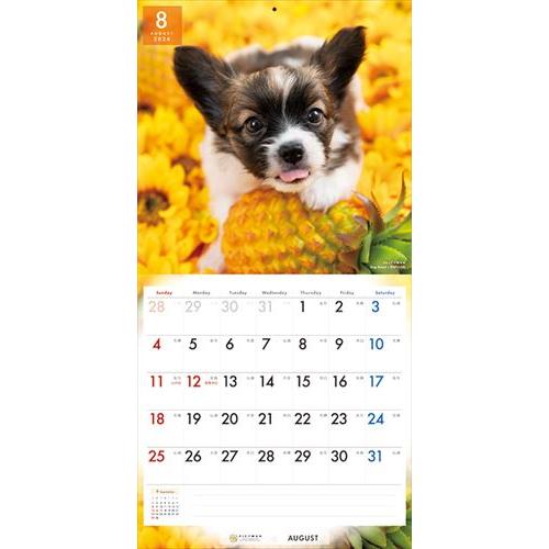 【おまけCL付】パピヨン PICTWAN (ピクトワン) カレンダー DOG 【L版】 2024年カレンダー 24CL-50017L｜pigeon-cd｜12