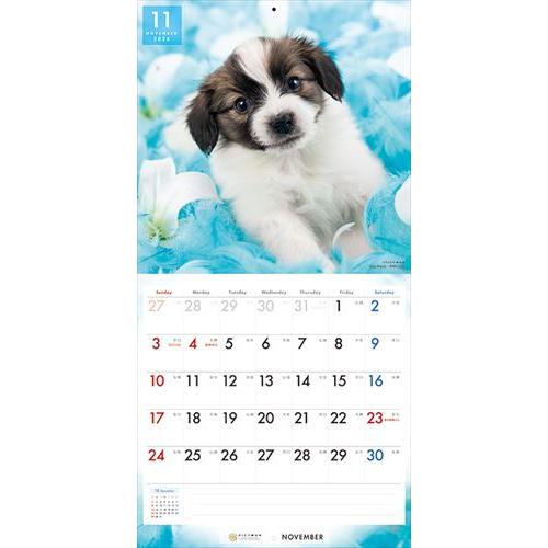 【おまけCL付】パピヨン PICTWAN (ピクトワン) カレンダー DOG 【L版】 2024年カレンダー 24CL-50017L｜pigeon-cd｜15