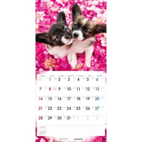 【おまけCL付】パピヨン PICTWAN (ピクトワン) カレンダー DOG 【L版】 2024年カレンダー 24CL-50017L｜pigeon-cd｜05