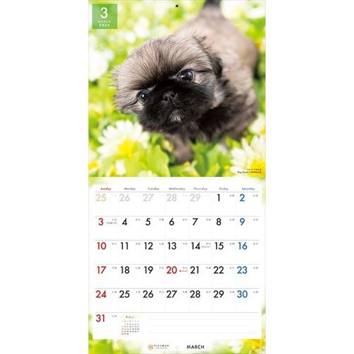 【おまけCL付】ペキニーズ PICTWAN (ピクトワン) カレンダー DOG 【L版】 2024年カレンダー 24CL-50018L｜pigeon-cd｜07