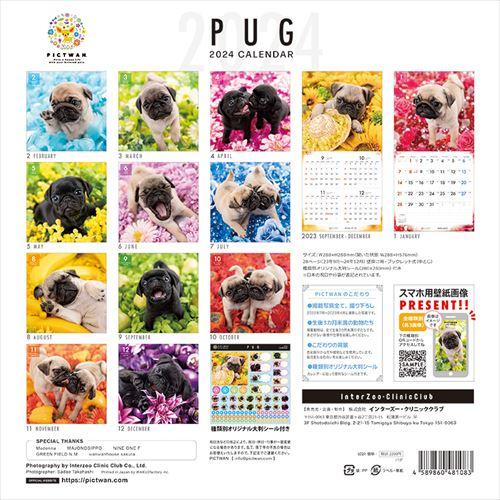 EVNNE パクハンビン 2024シーグリトレカ バラ売 EVNNE パクハンビン 2024シーグリトレカ バラ売