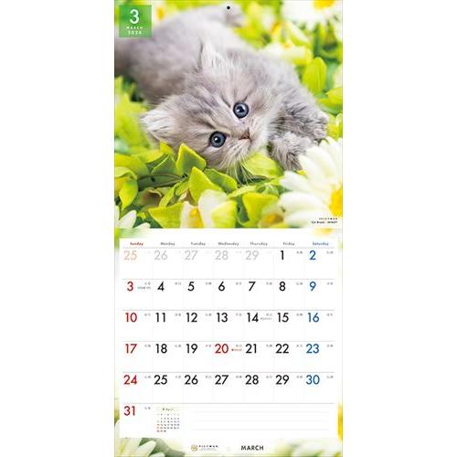 【おまけCL付】キャット・セレクション PICTWAN (ピクトワン) カレンダー DOG 【L版】 2024年カレンダー 24CL-50030L｜pigeon-cd｜07