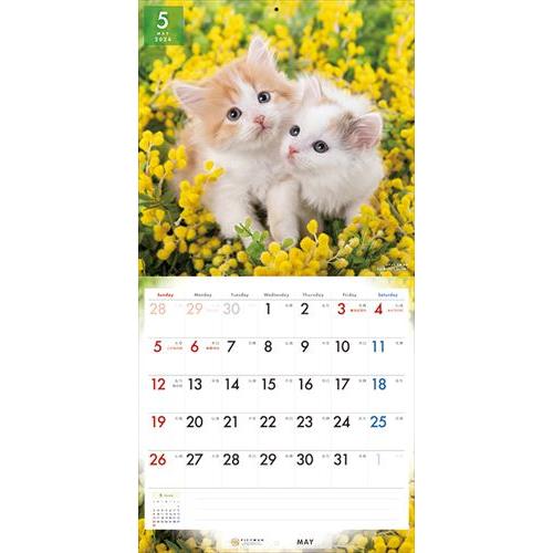 【おまけCL付】キャット・セレクション PICTWAN (ピクトワン) カレンダー DOG 【L版】 2024年カレンダー 24CL-50030L｜pigeon-cd｜09