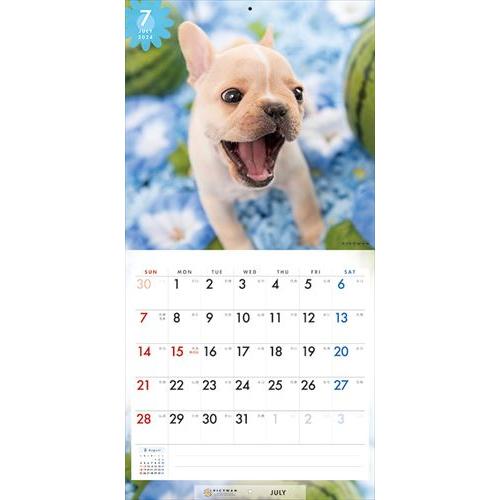 【おまけCL付】フレンチ・ブルドッグ PICTWAN (ピクトワン) カレンダー DOG 【S版】 2024年カレンダー 24CL-50037S｜pigeon-cd｜11