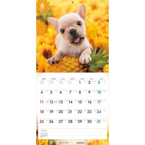 【おまけCL付】フレンチ・ブルドッグ PICTWAN (ピクトワン) カレンダー DOG 【S版】 2024年カレンダー 24CL-50037S｜pigeon-cd｜12