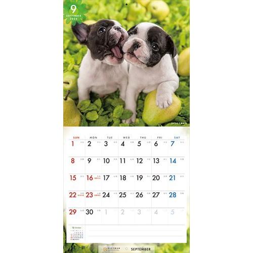 【おまけCL付】フレンチ・ブルドッグ PICTWAN (ピクトワン) カレンダー DOG 【S版】 2024年カレンダー 24CL-50037S｜pigeon-cd｜13