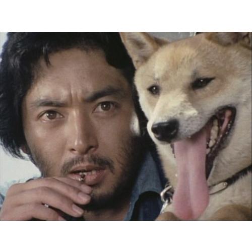 特典CL付】新品 犬笛 −娘よ、生命の笛を吹け− コレクターズDVD(HDリ
