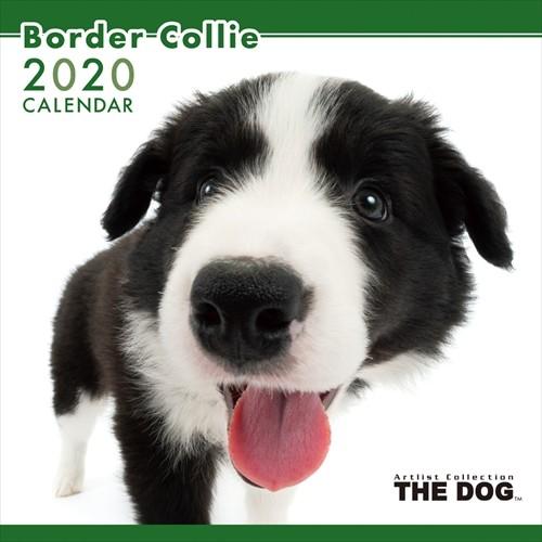 08 29発売予定 Thedogカレンダーチワワ 21年カレンダー 21cl 1107 Cl 1107 ピジョン 通販 Yahoo ショッピング